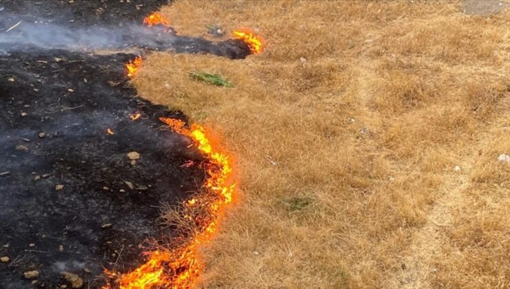 Siirt’te anız yakan kişiye 57 bin 990 lira ceza uygulandı