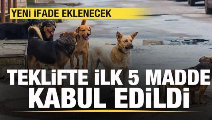 Sokak hayvanları düzenlemesi Meclis’te! İlk 5 madde kabul edildi! Yeni ifade eklenecek