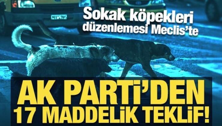 Sokak köpekleri düzenlemesi Meclis’te: AK Parti’den 17 maddelik teklif!