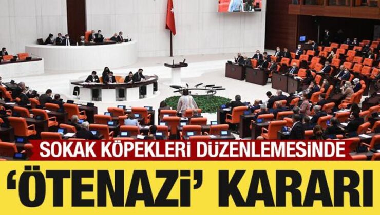 Sokak köpekleri düzenlemesinde ‘ötenazi’ ibaresi çıkarıldı