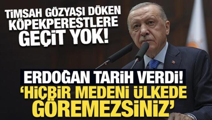 Son Dakika… Erdoğan tarih verdi: Timsah gözyaşı döken köpekperestlere geçit yok!