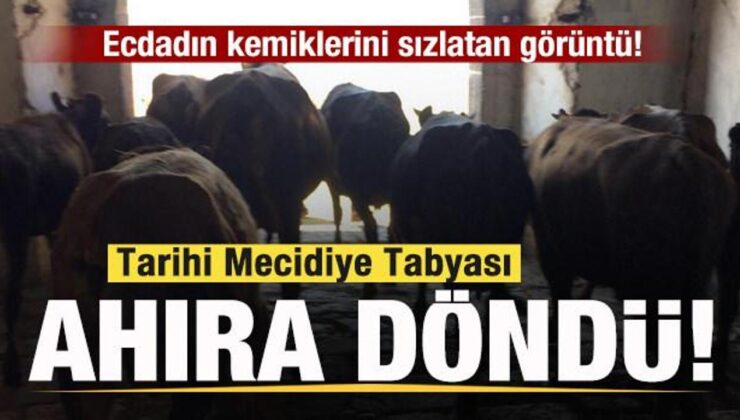 Tarihi Mecidiye Tabyası ahıra döndü! Ecdadın kemiklerini sızlatan görüntü!