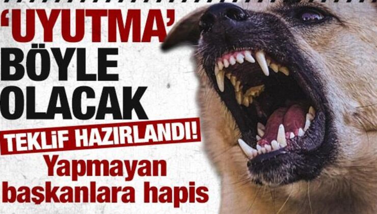 Teklif, AK Parti grubunda imzaya açıldı! Köpek toplamayan belediye başkanına hapis cezası