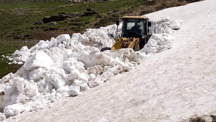 Van’da kardan kapalı olan yayla yolları açıldı