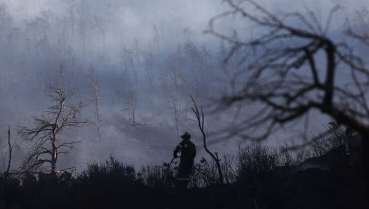 Yunanistan'da çıkan orman yangınında 1 kişi öldü | Dış Haberler