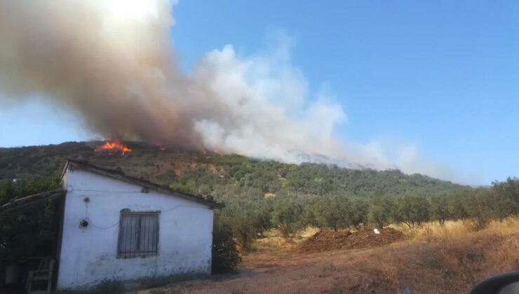 Balıkesir’de orman yangını: Ekipler müdahale ediliyor!