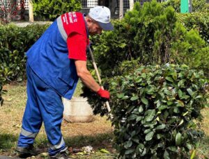 Kağıthane Belediyesi yeşil alanlara gözü gibi bakıyor