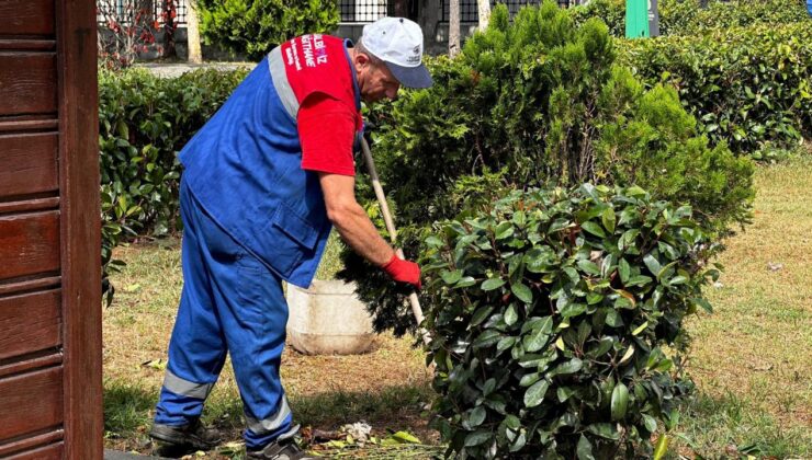 Kağıthane Belediyesi yeşil alanlara gözü gibi bakıyor