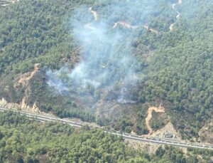 Muğla’da orman yangını! Havadan görüntülendi