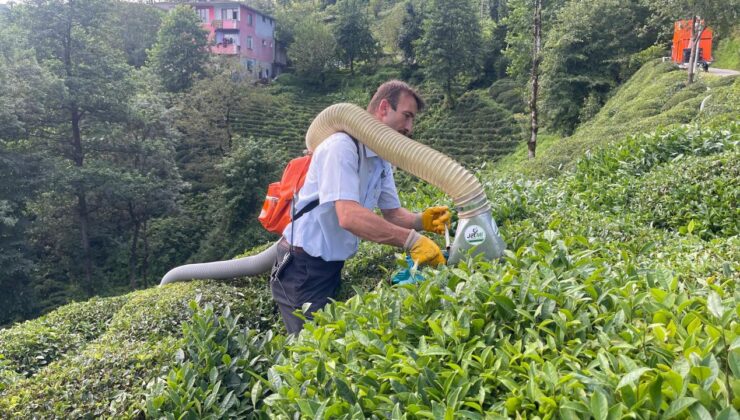 Rizeli mucit yaptığı çay toplama makinesi ile çayları taşıma sorununu ortadan kaldırdı