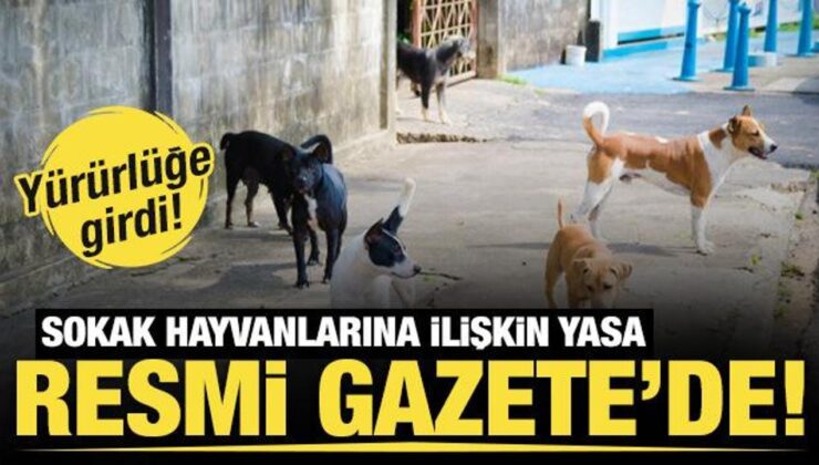 Sahipsiz hayvanlara yönelik düzenlemeler içeren kanun Resmi Gazete’de