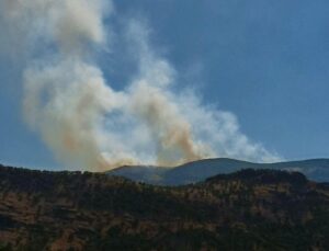 Tunceli’de orman yangını: Helikopter ve askeri personel sevk edildi